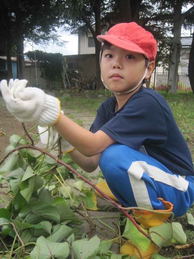 https://date.schoolweb.ne.jp/0710089/blog_img/54253603?tm=20241016143611