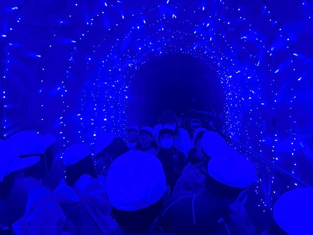 監査廊のイルミネーション綺麗でした！