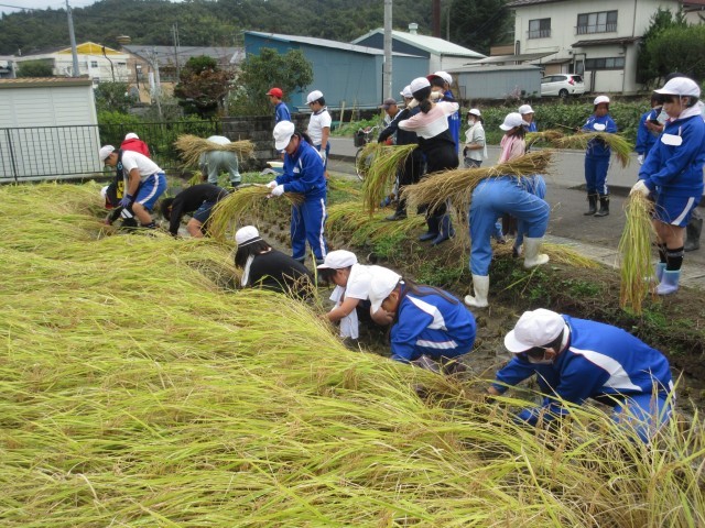 https://date.schoolweb.ne.jp/0710103/blog_img/54224500?tm=20241010174159