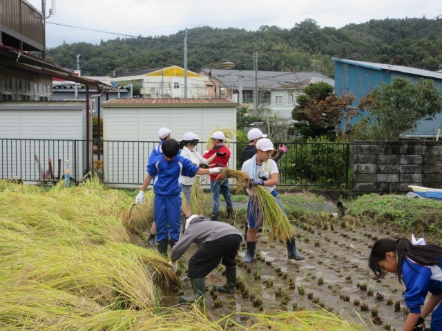 https://date.schoolweb.ne.jp/0710103/blog_img/54224501?tm=20241010174159